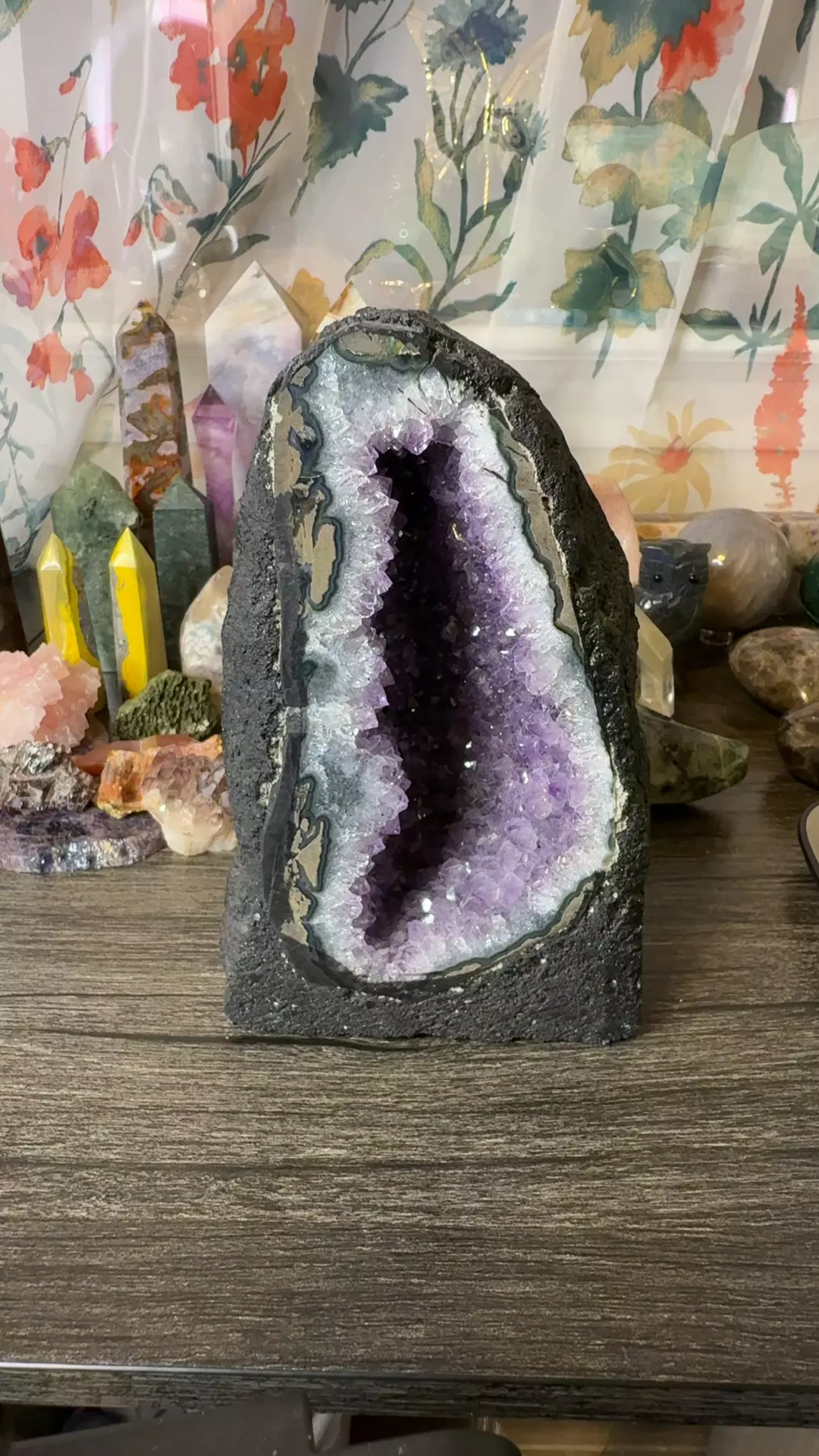 plant/$65 | Amethyst Geode Cathedral-0