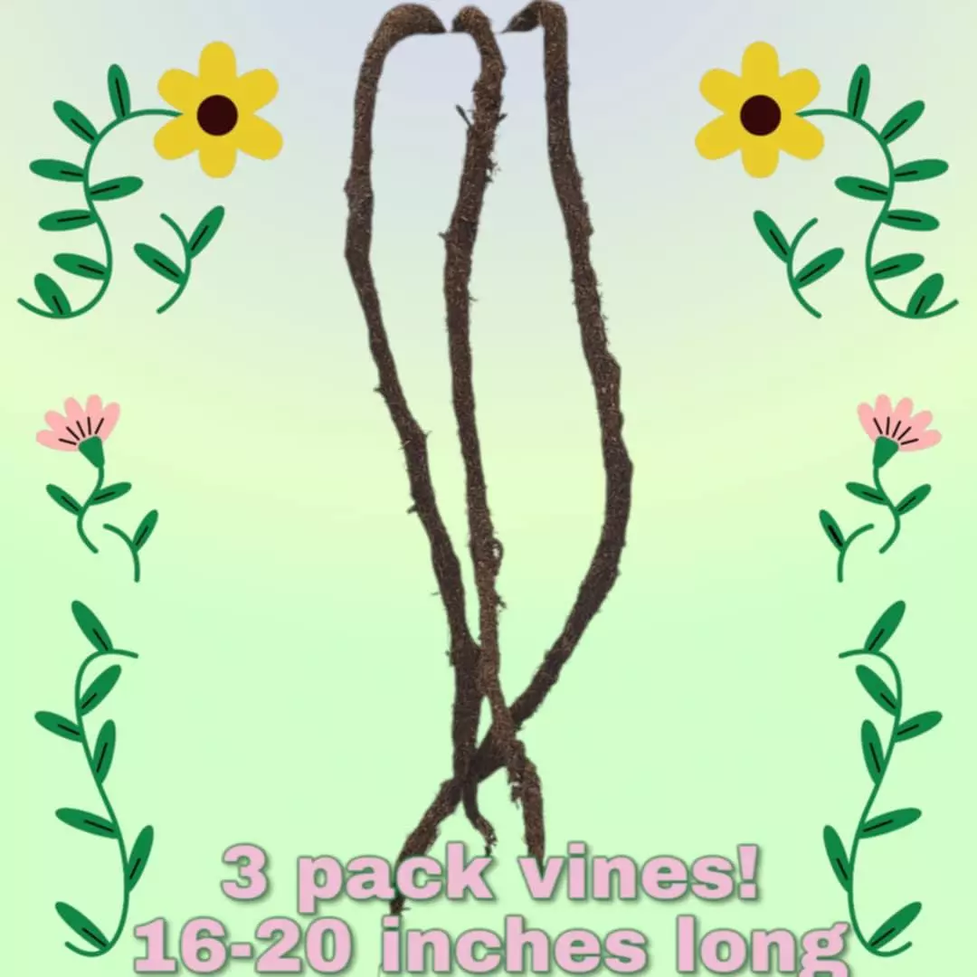 plant/Faux vines made of a natural outside material and inert inner.-0