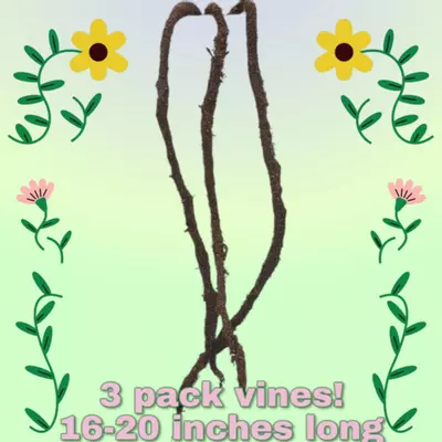 plant/Faux vines made of a natural outside material and inert inner.-0-thumbnail