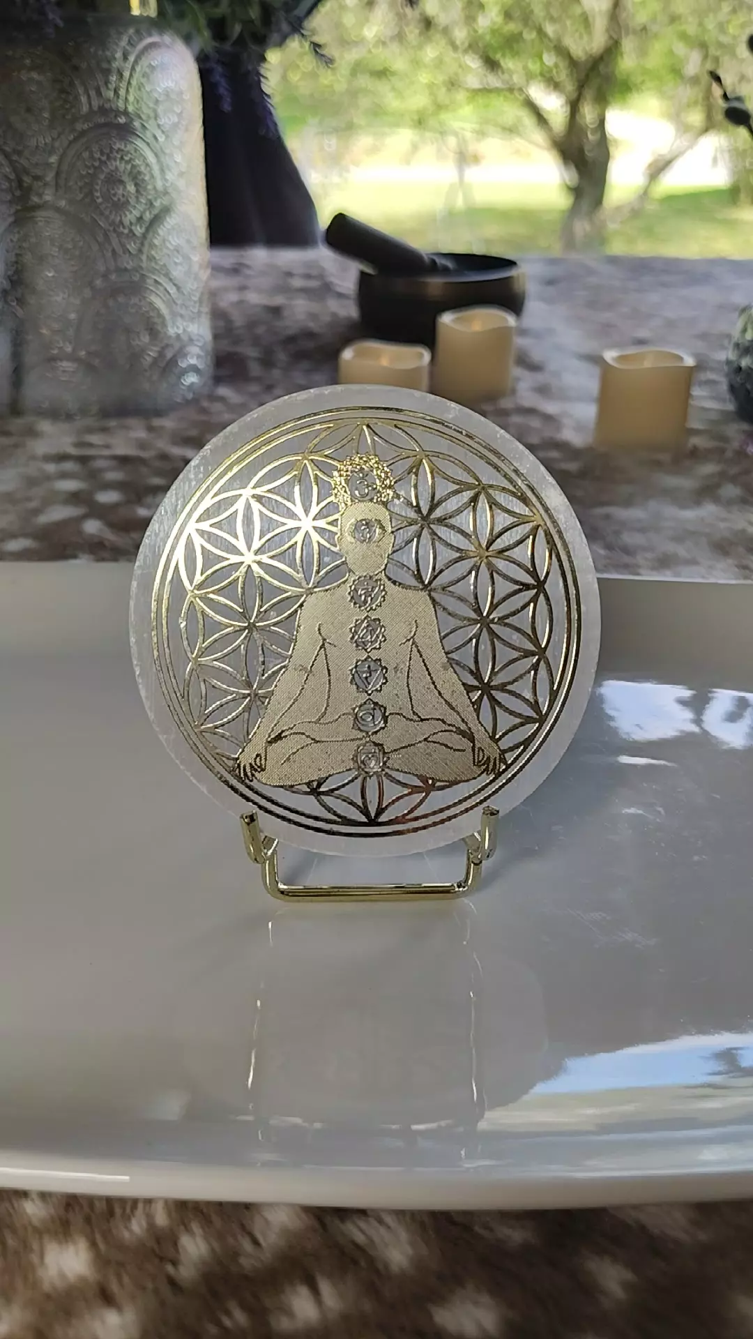 plant/Selenite Slab with holder - chakra system-0