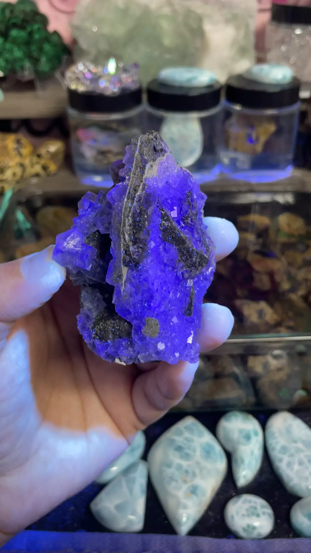 plant/blue fluorite specimen #1-0