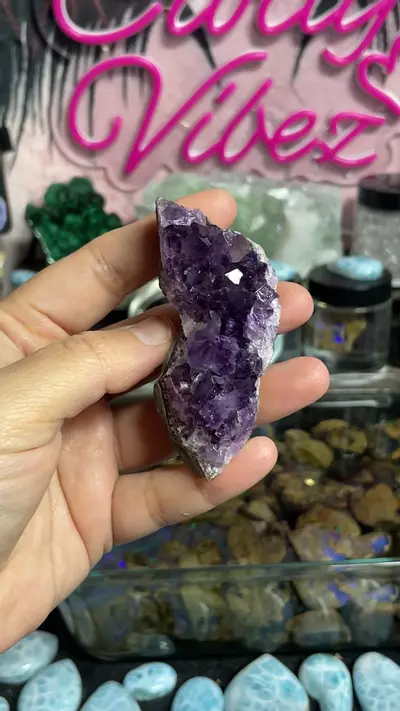 plant/Amethyst #1-0-thumbnail