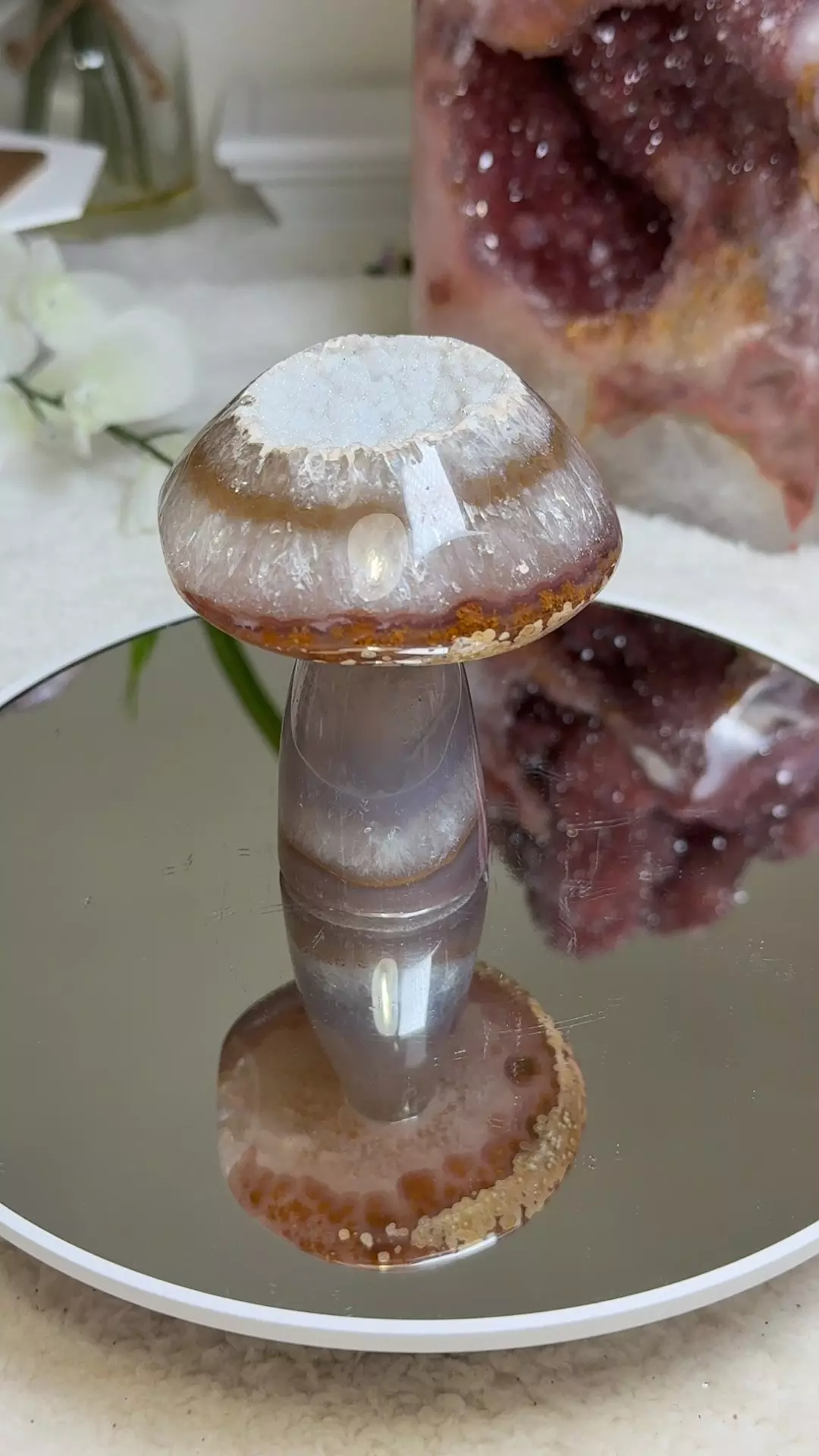 plant/Agate mushroom-0