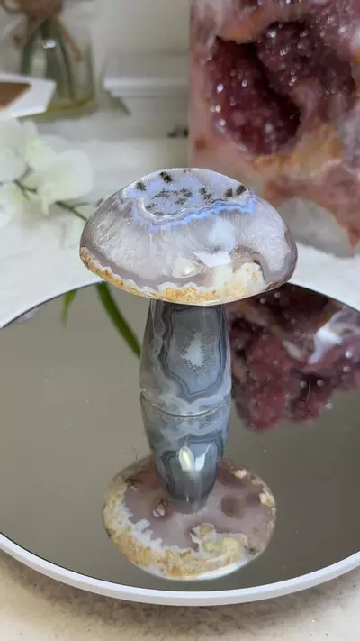 plant/Agate mushroom-0-thumbnail