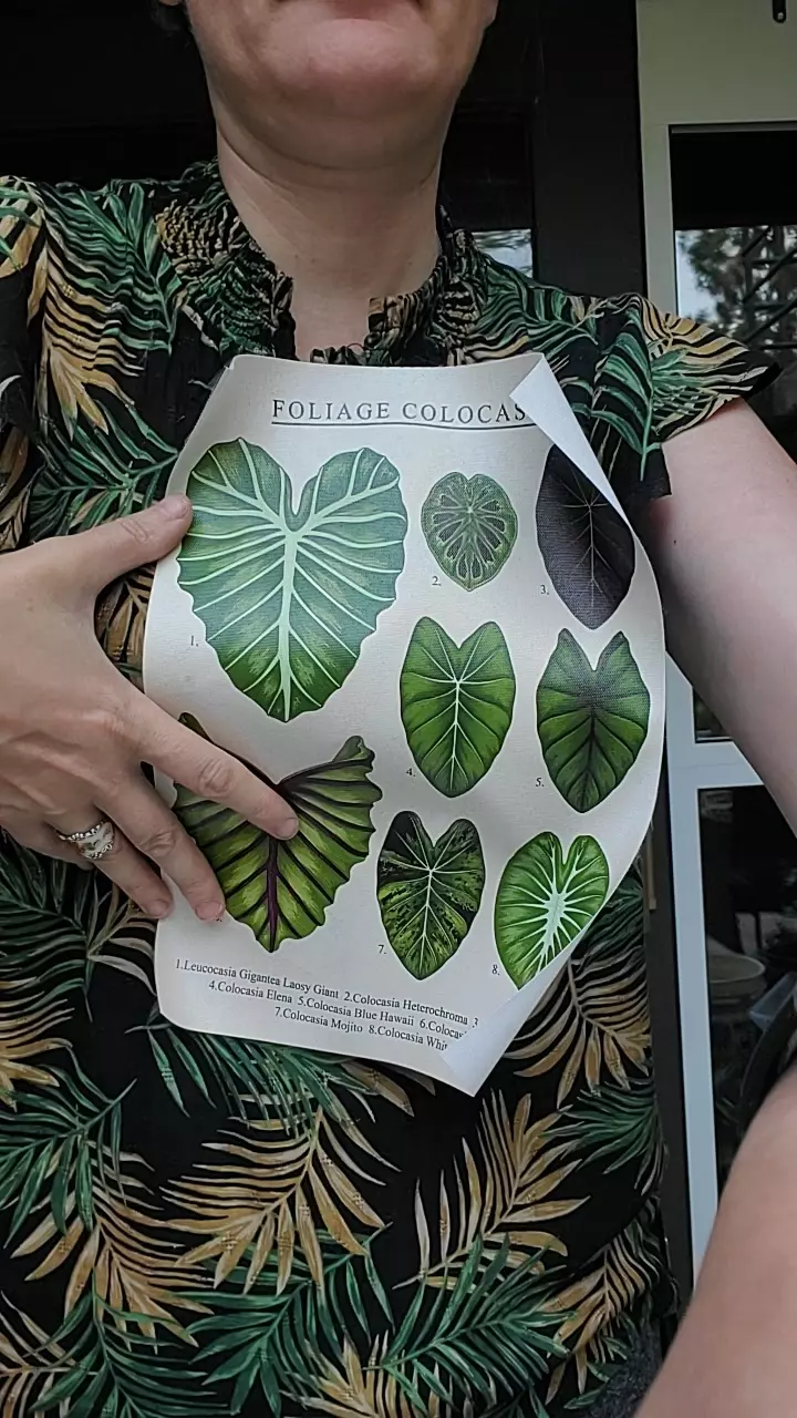 plant/Foliage 8x10-0