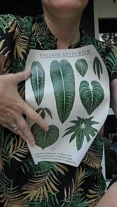 plant/Foliage anthurium canvas 8x10-0-thumbnail