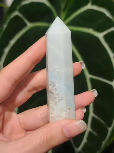 plant/Tower-0-thumbnail