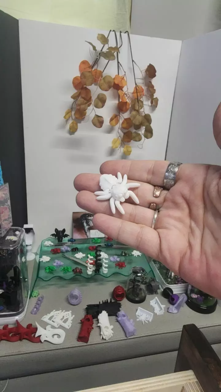 plant/Mini spood fidgit-0