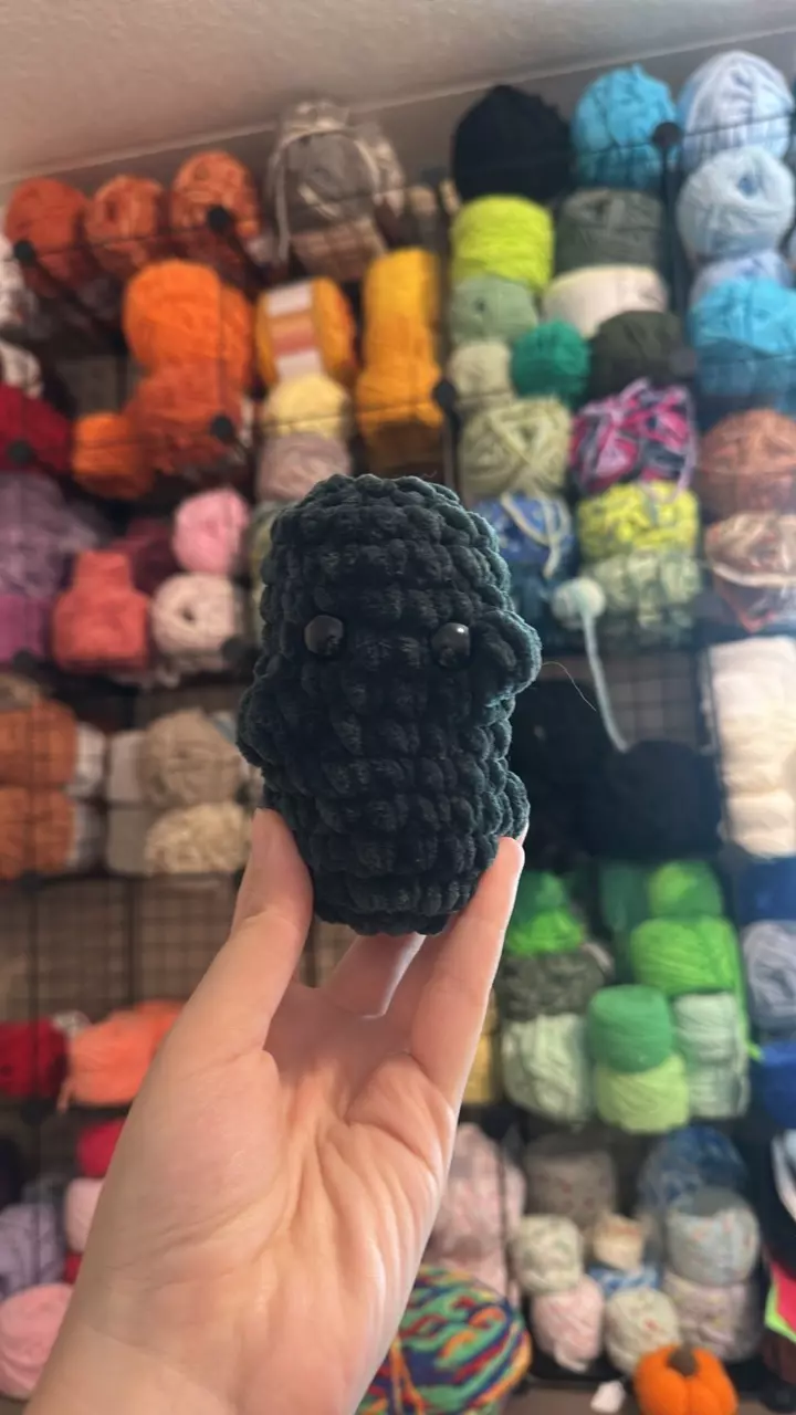 plant/🥒Pickle Handmade Plushie💚-0