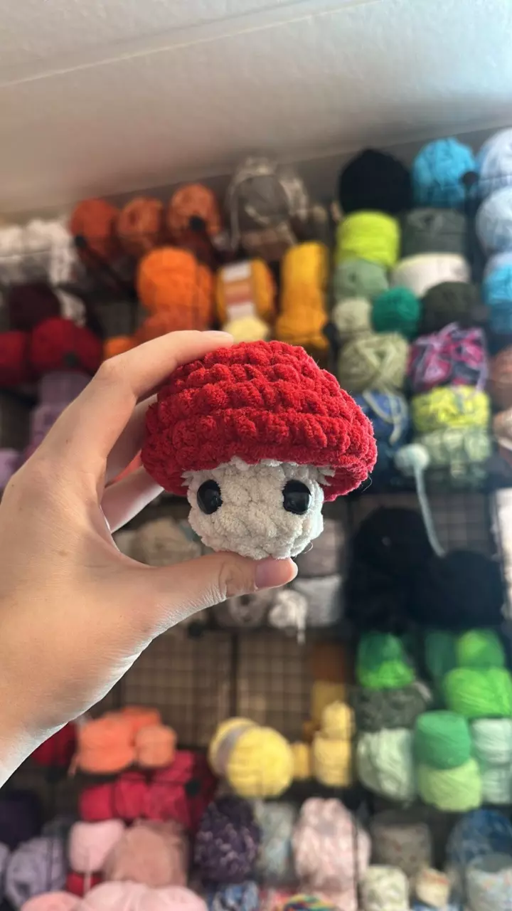 plant/❤️🍄Mushroom Pop fidget Handmade Plushie-0