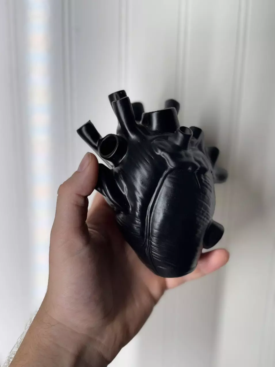 plant/Black heart prop vase-1