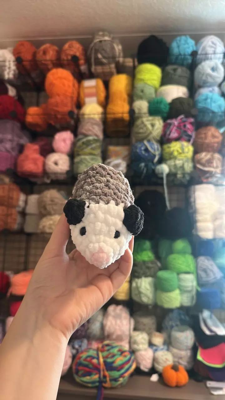 plant/🩶🩷Opossum Handmade Plushie-0