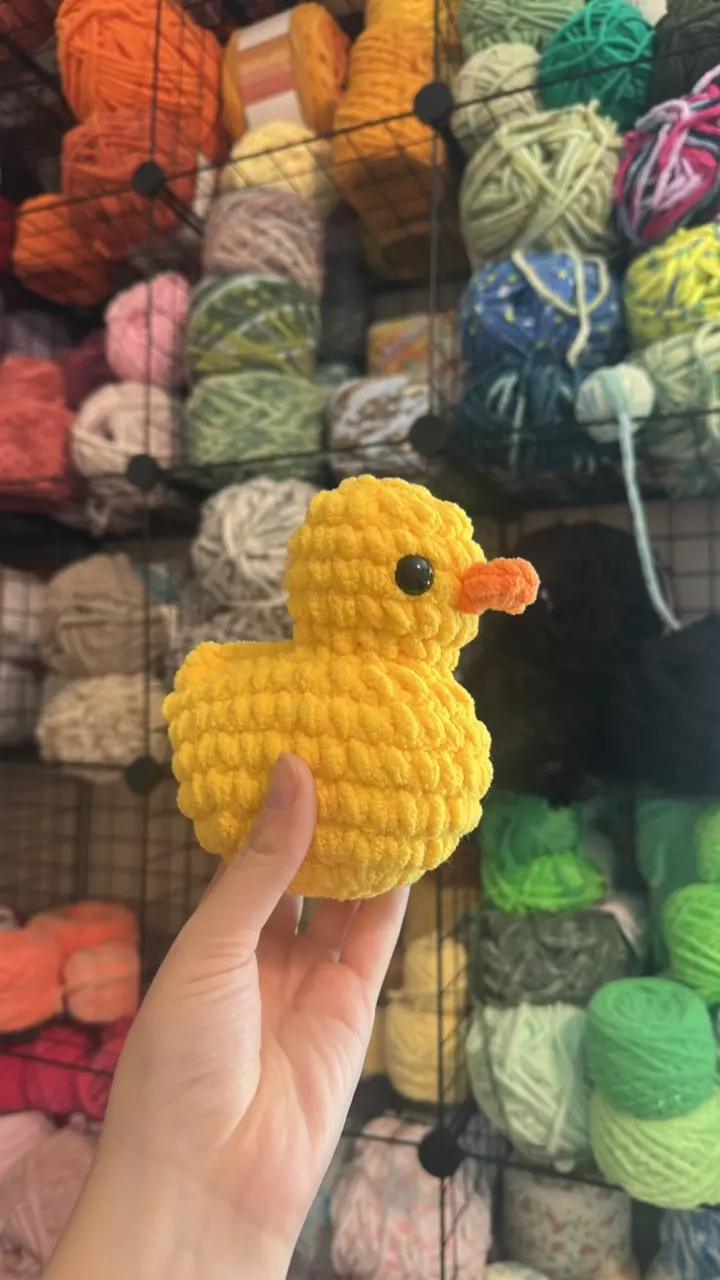 plant/🐥Rubber duck Handmade plushie-0