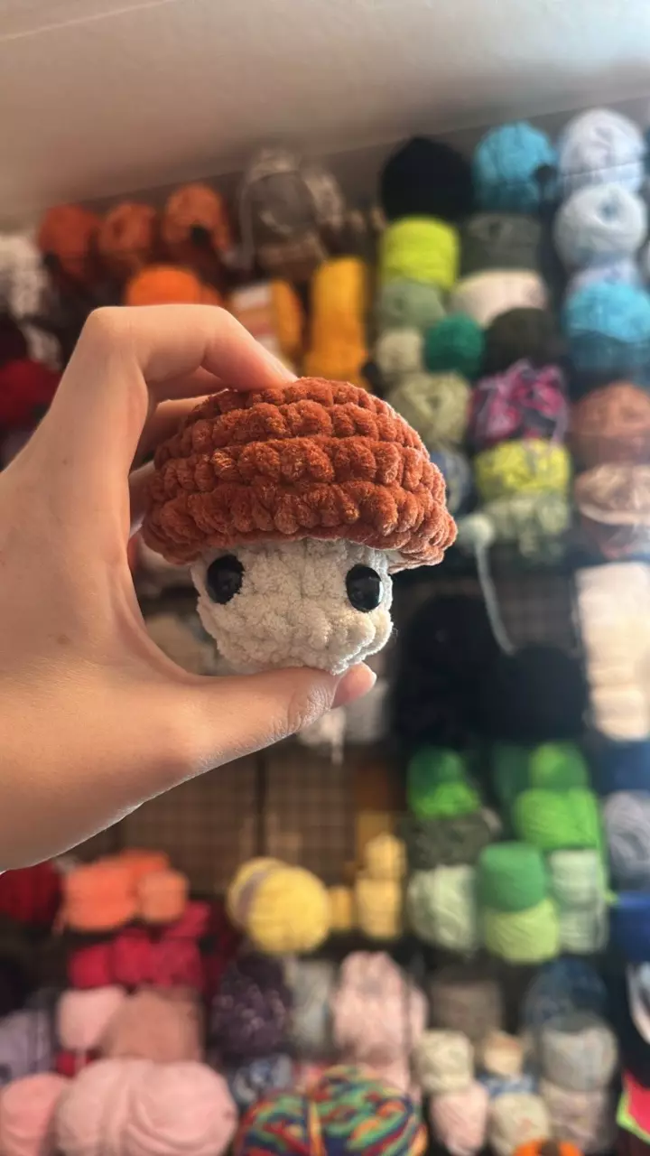 plant/❤️🍄Mushroom Pop fidget Handmade Plushie-0