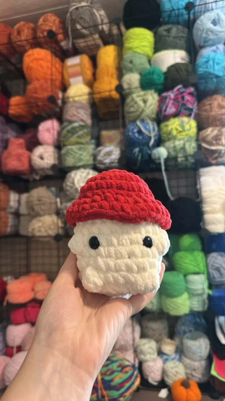 plant/❤️🍄Mushroom Boi Handmade Plushie-0