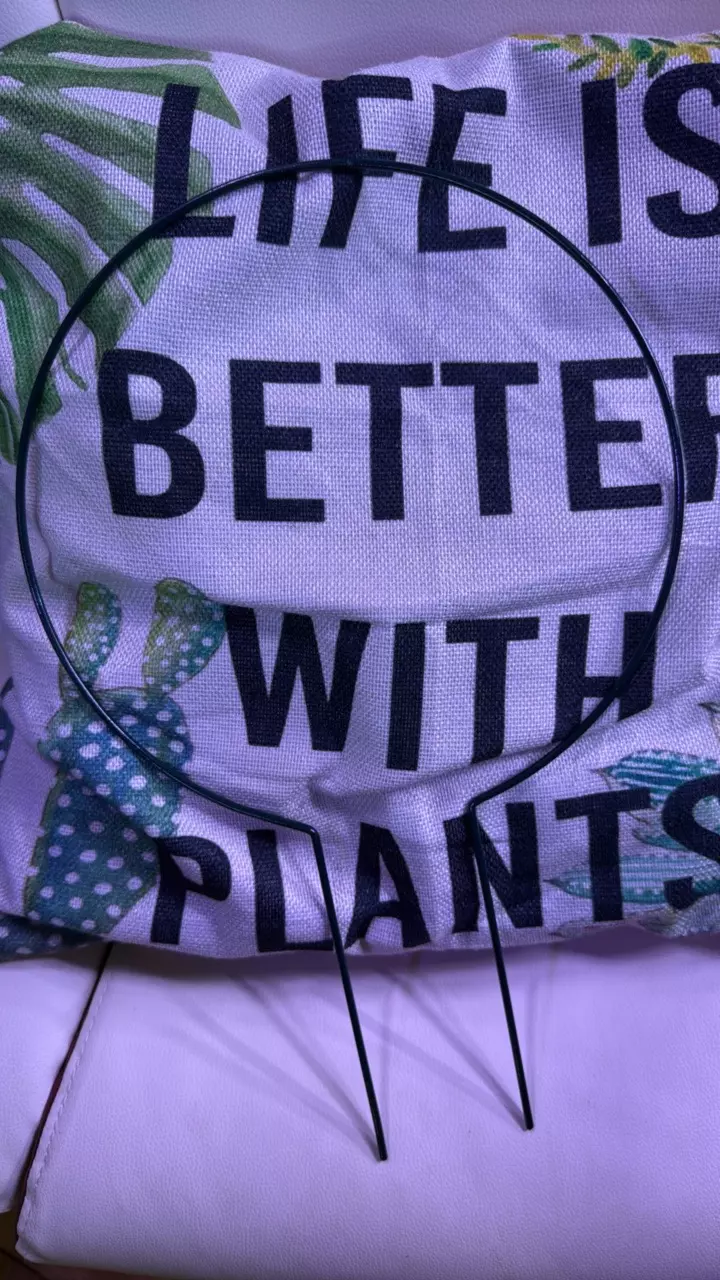 plant/16x10 in trellis-0