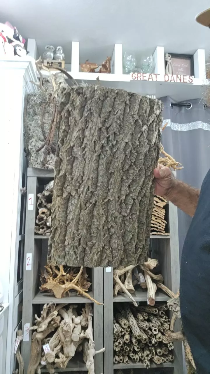 plant/Corkback-0