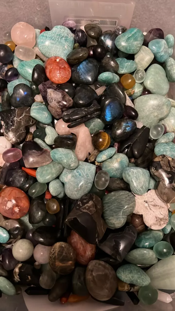 plant/Scoops - large (approx. 12-14 oz)-0