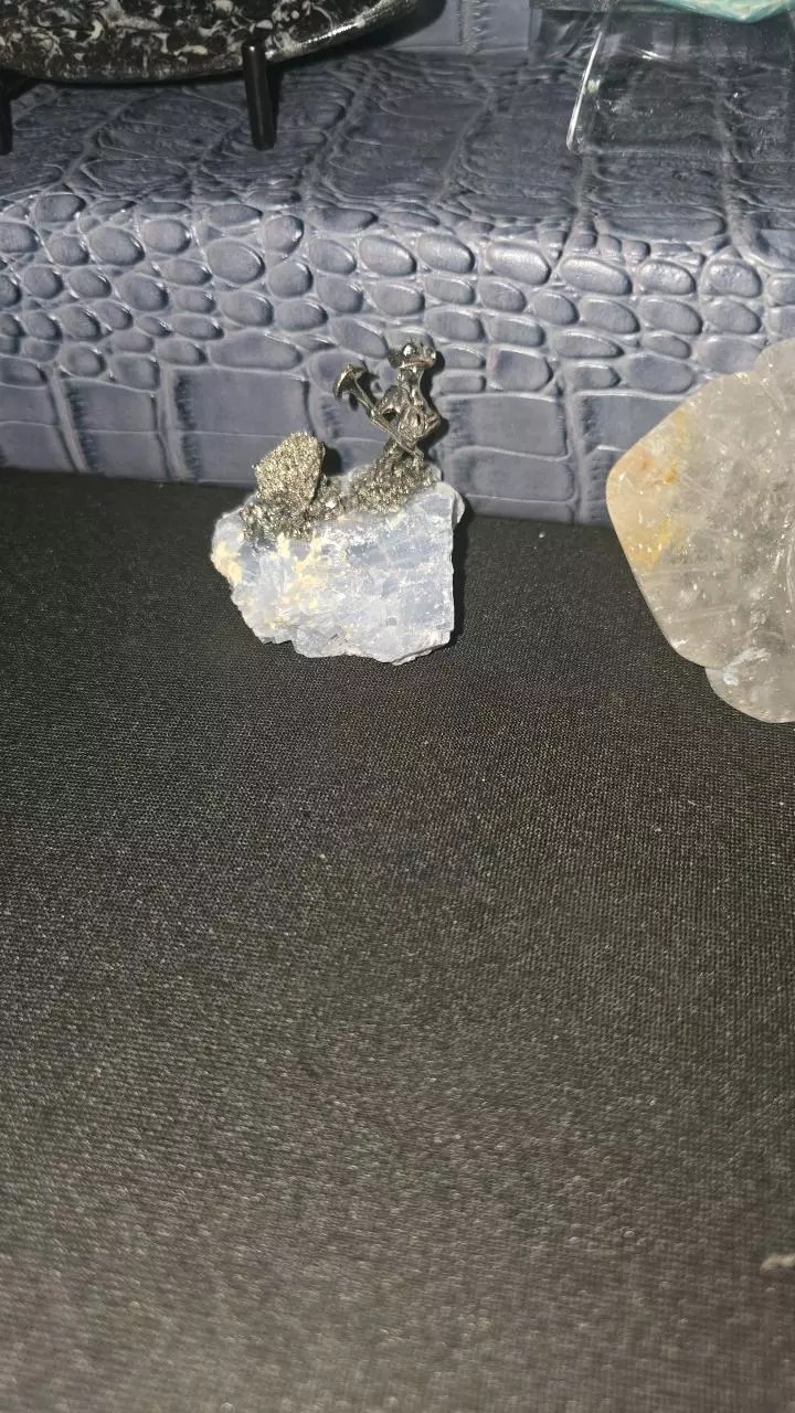 plant/i miners buyers choice-0