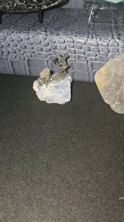 plant/i miners buyers choice-0-thumbnail