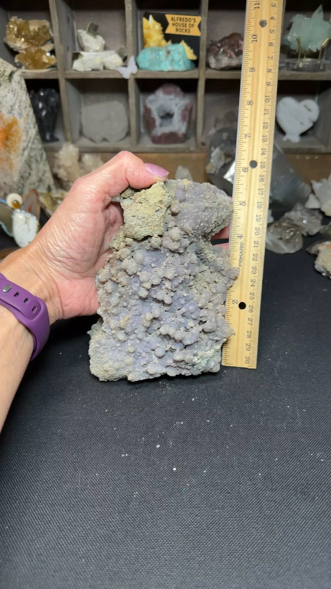 plant/XL grape agate-0