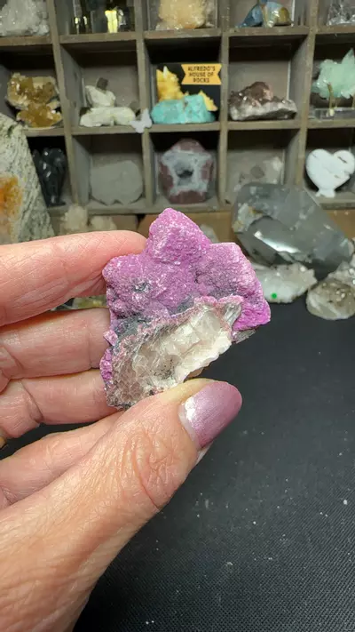 plant/Cobaltan Clacite 1-0-thumbnail