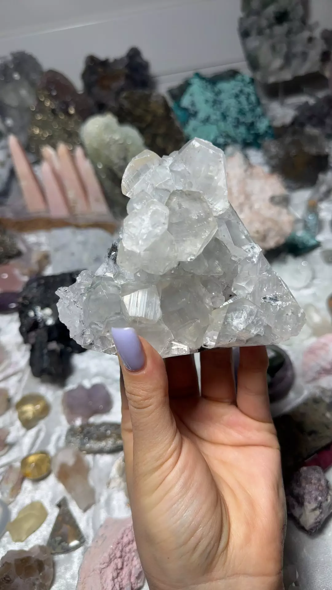 plant/Diamond calcite-0