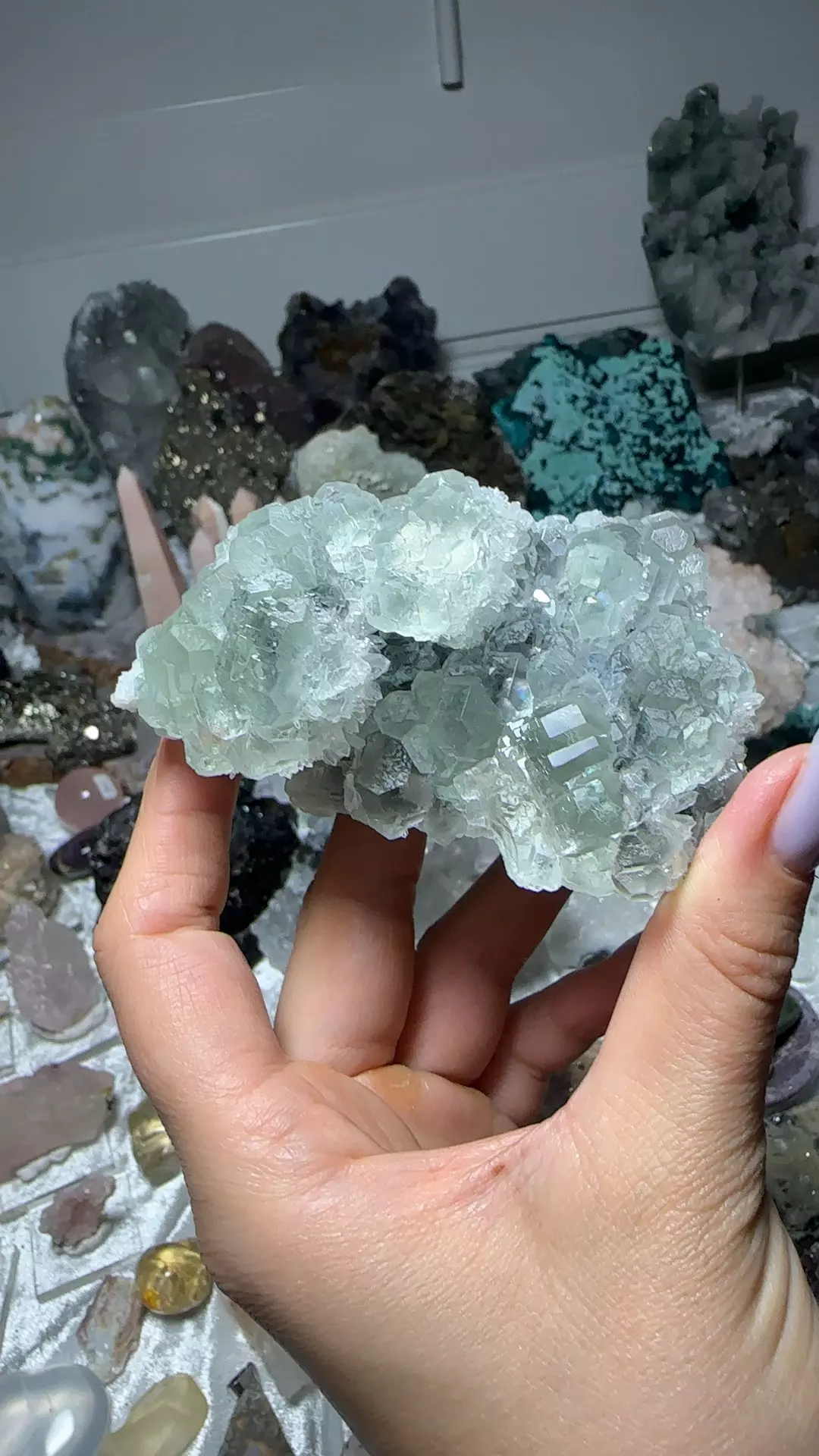 plant/Fluorite quartz fujian china-0