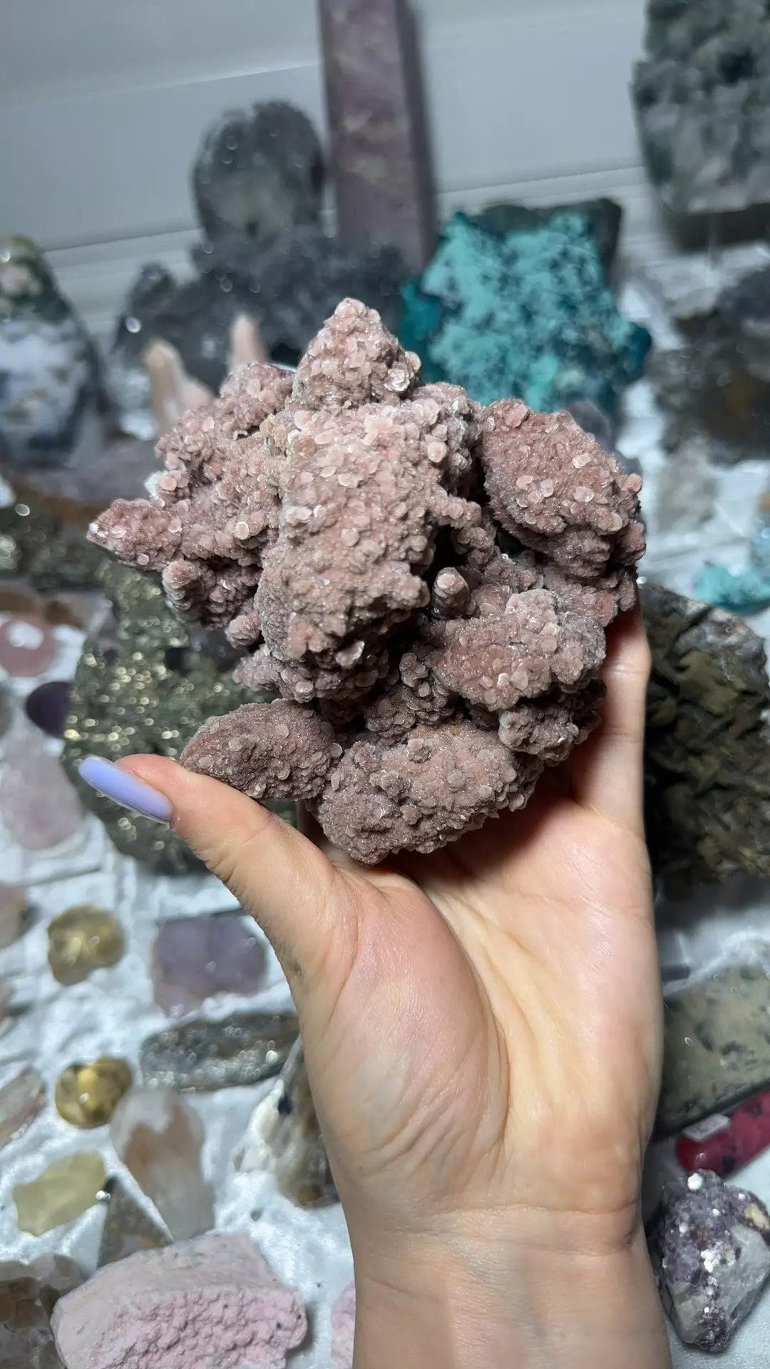plant/Inner mongolian pink calcite-0