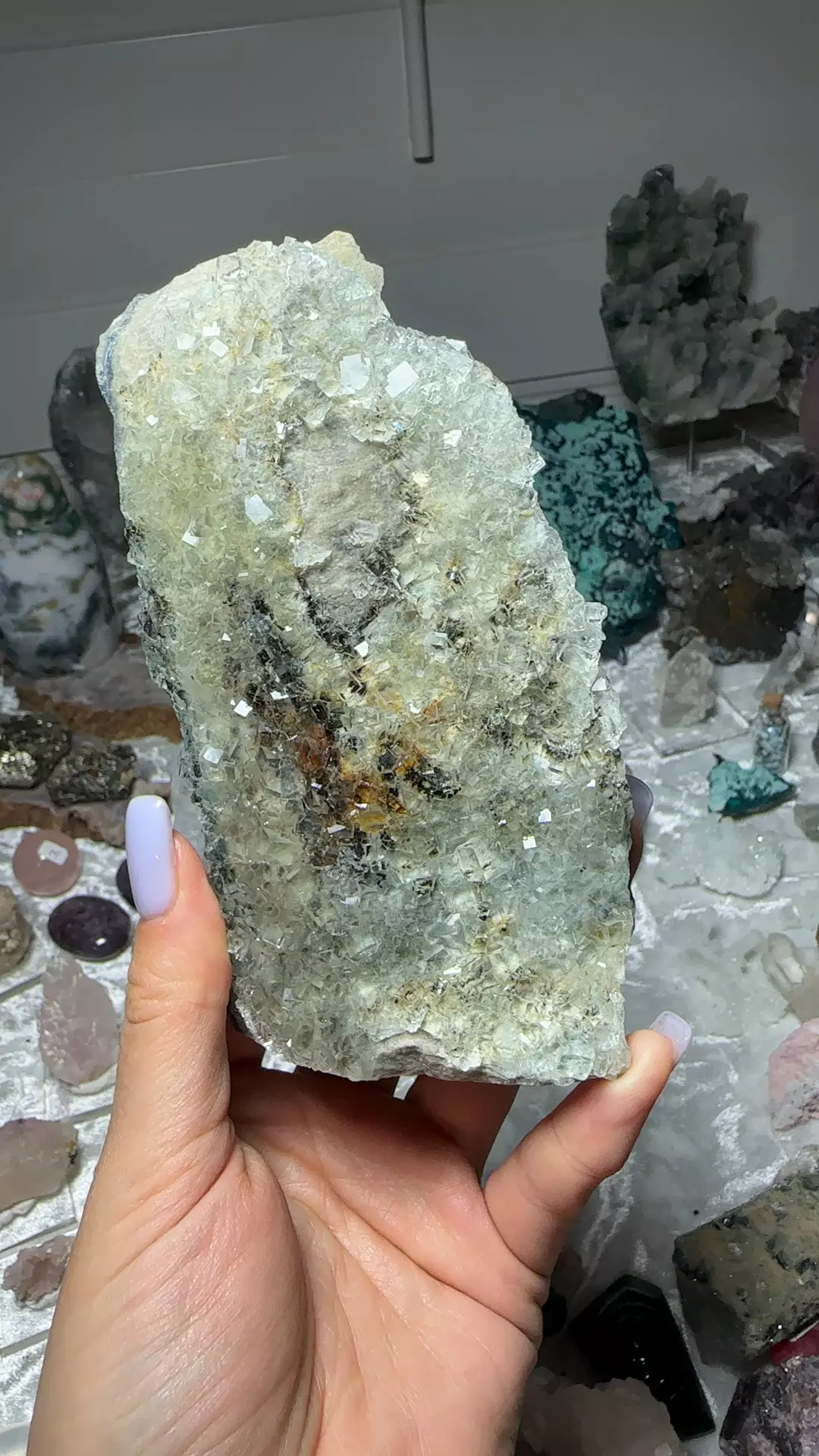 plant/Dendritic fluorite-0