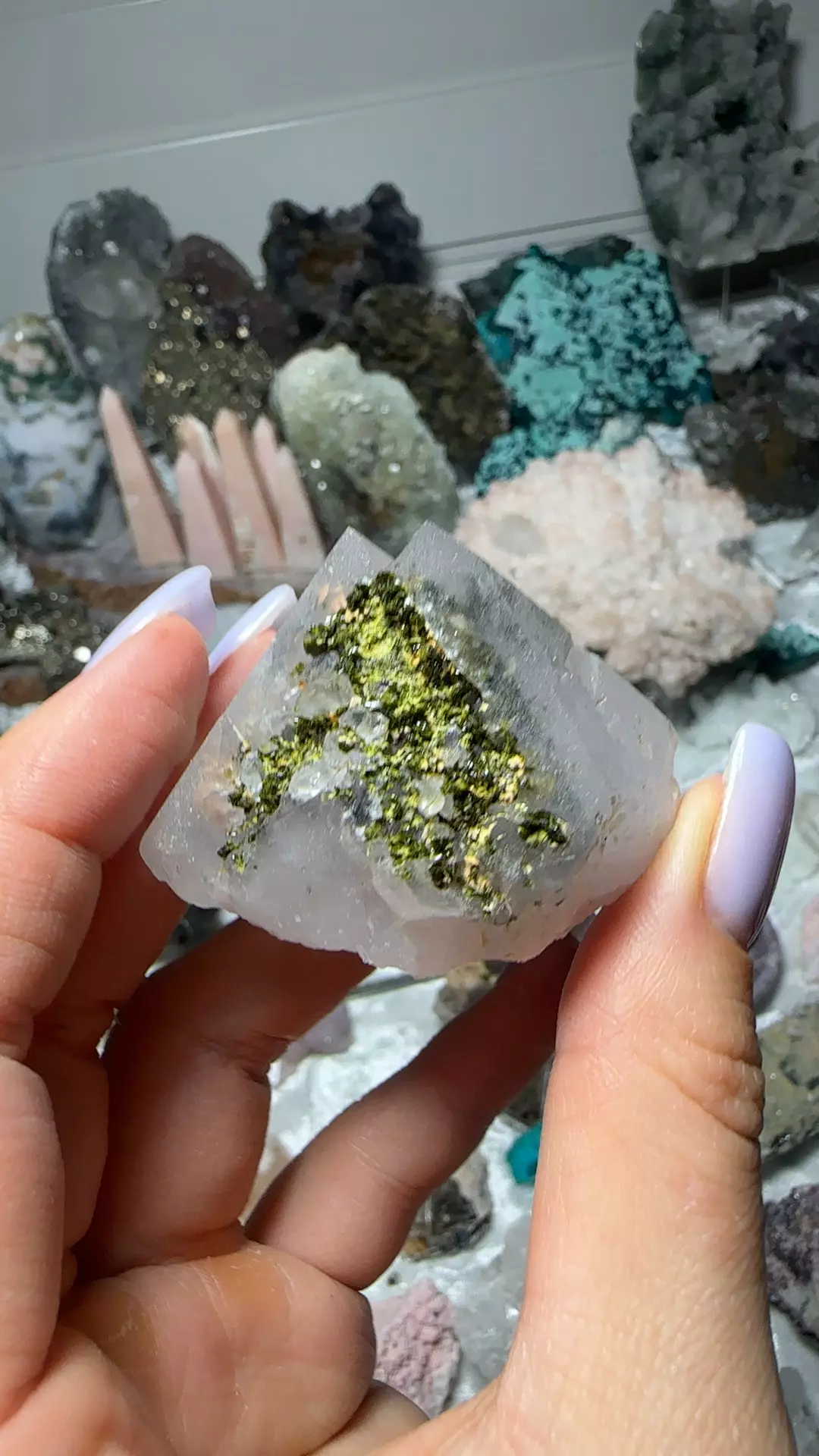 plant/Amethyst epidote-0