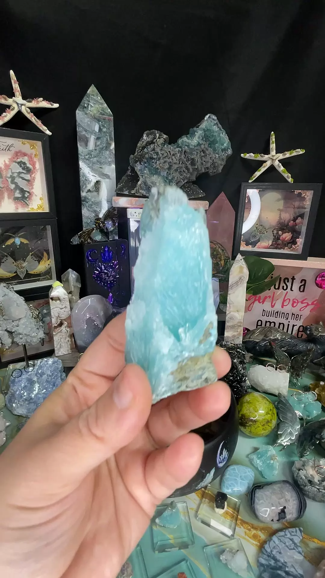 plant/Blue Aragonite #2-0