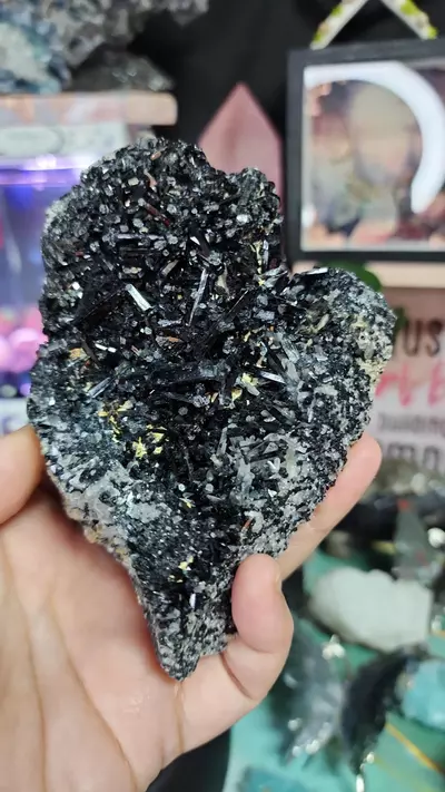 plant/Black Tourmaline Specimen #1-0-thumbnail