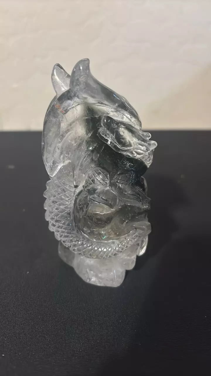 plant/Garden quartz dragon dream-0