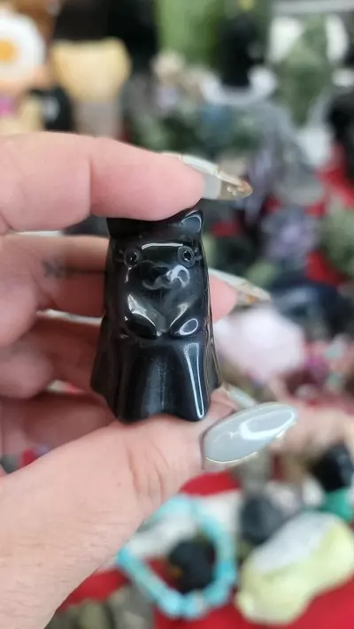 plant/Cat ghost-0-thumbnail