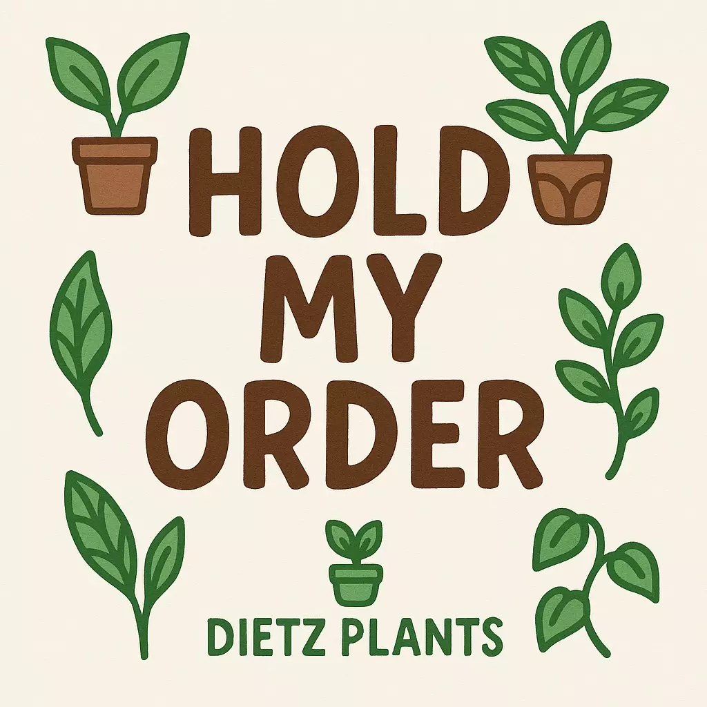 plant/Hold my order for one week-0