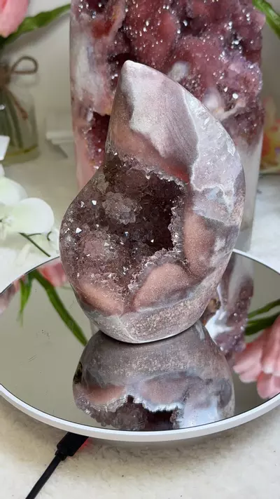 plant/Pink amethyst flame-0-thumbnail