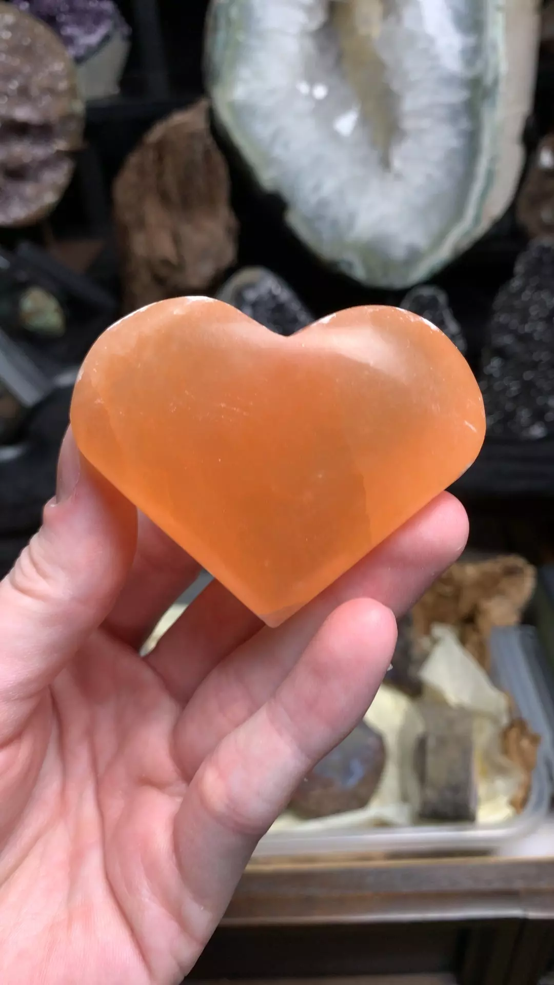 plant/Peach Satin Heart-0
