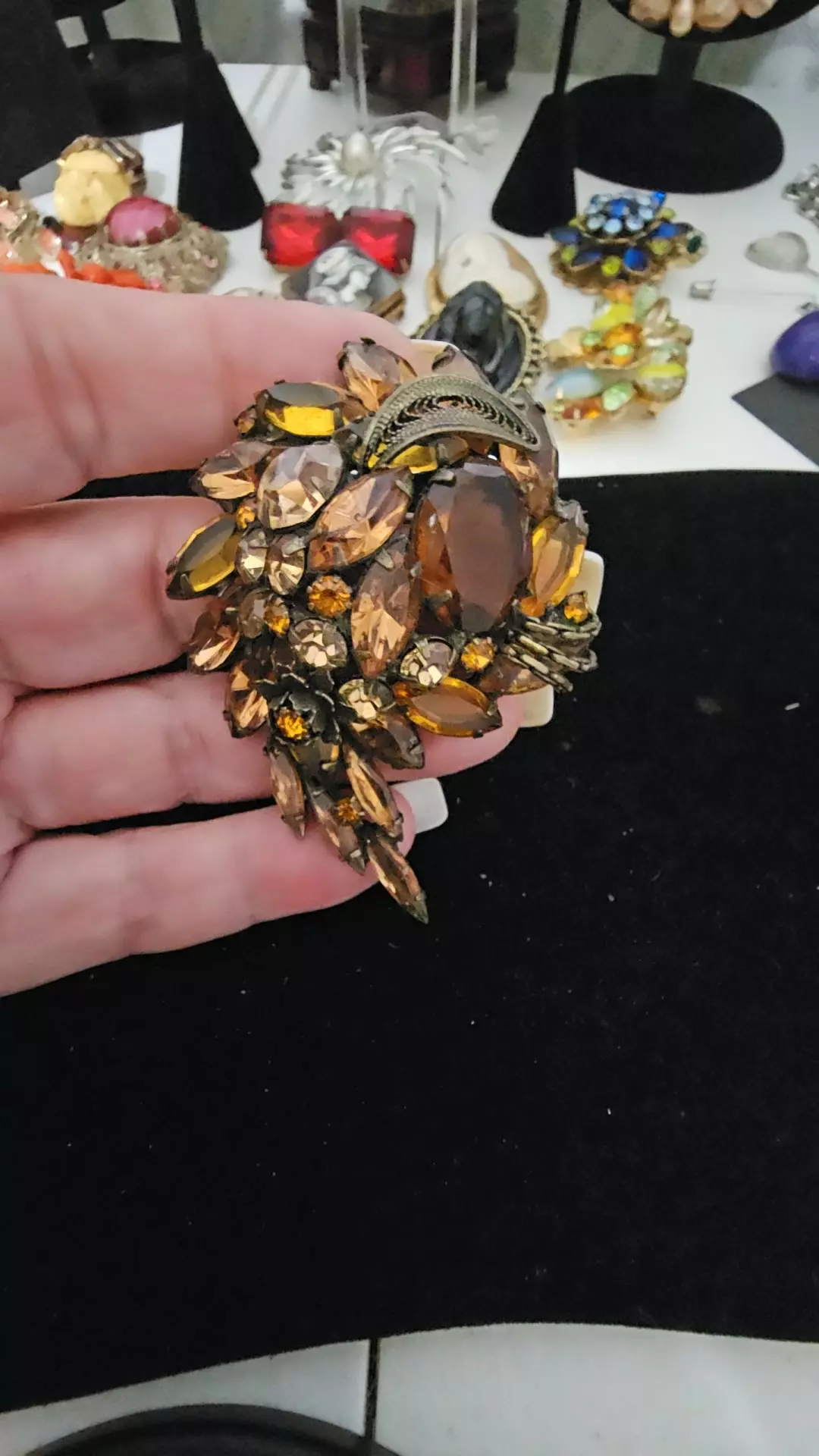 plant/Alice Caviness?-0