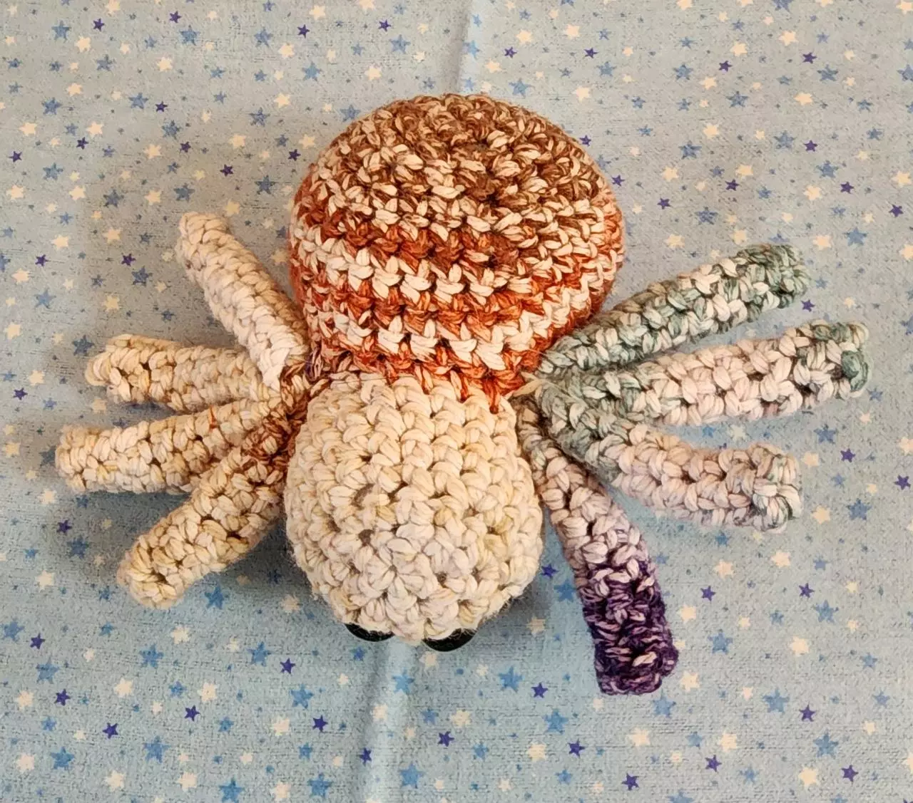 plant/Colorful spider-1