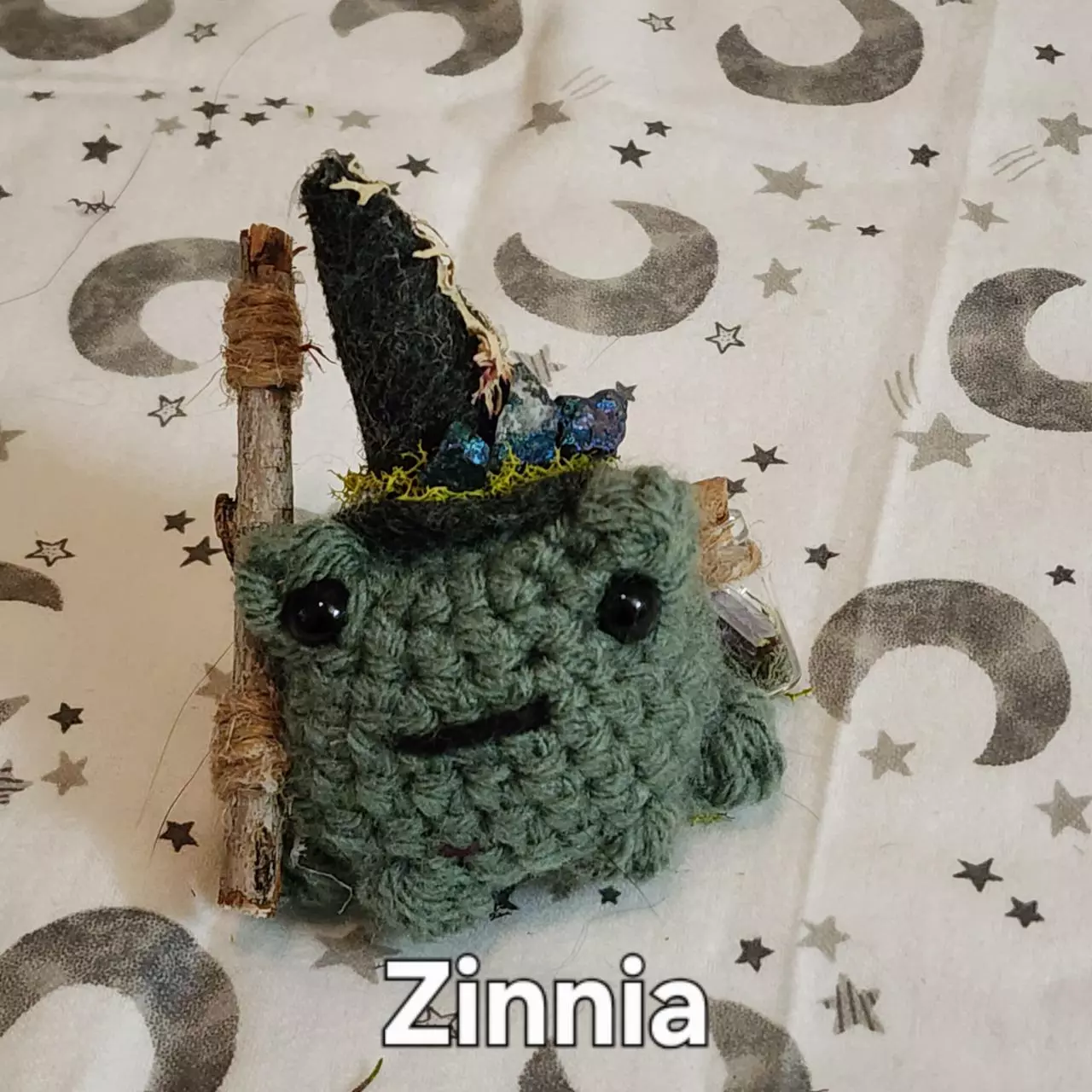 plant/Zinnia-0