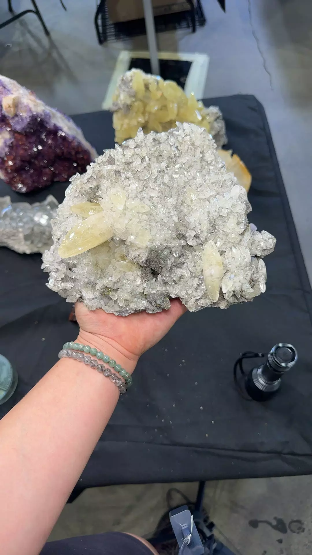 plant/Sweetwater mine calcite-0