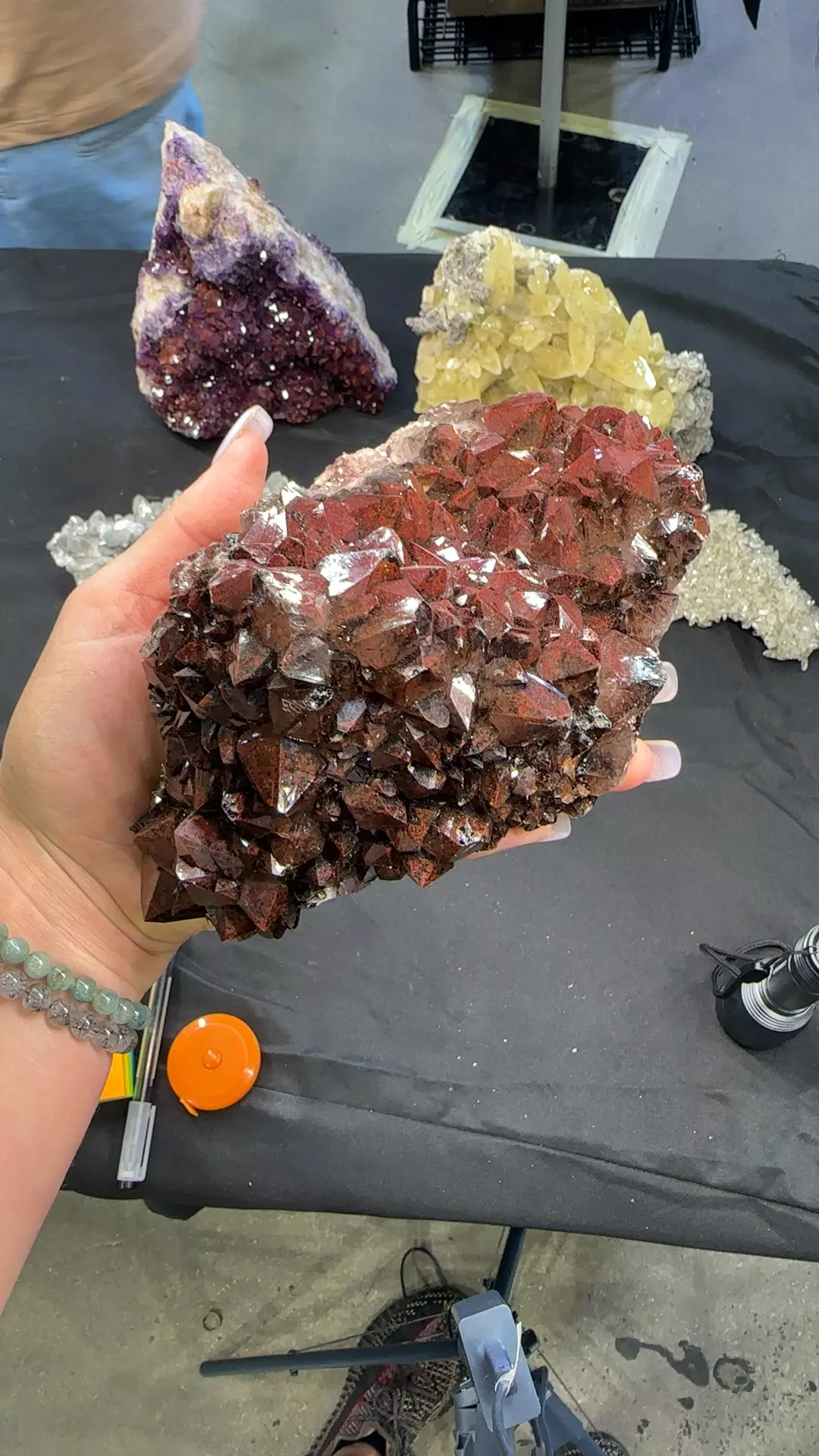 plant/Thunder bay amethyst-0