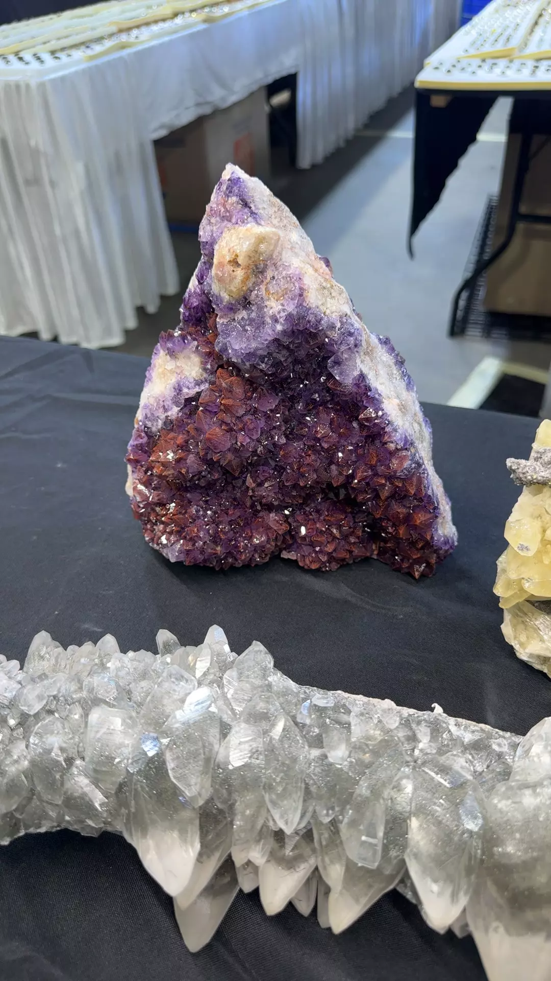 plant/Thunder bay amethyst-0