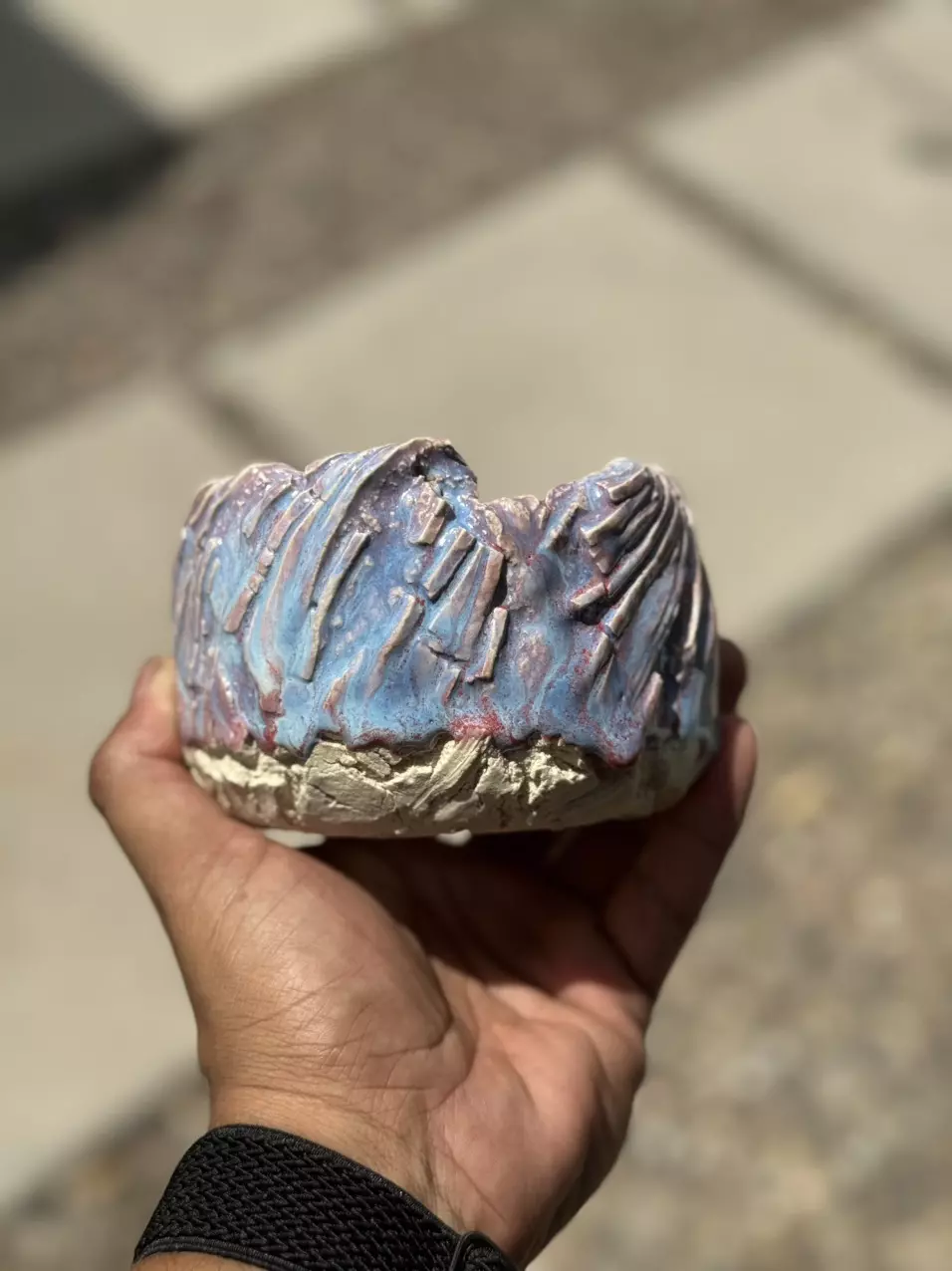 plant/Cotton candy 4.25x3H-0
