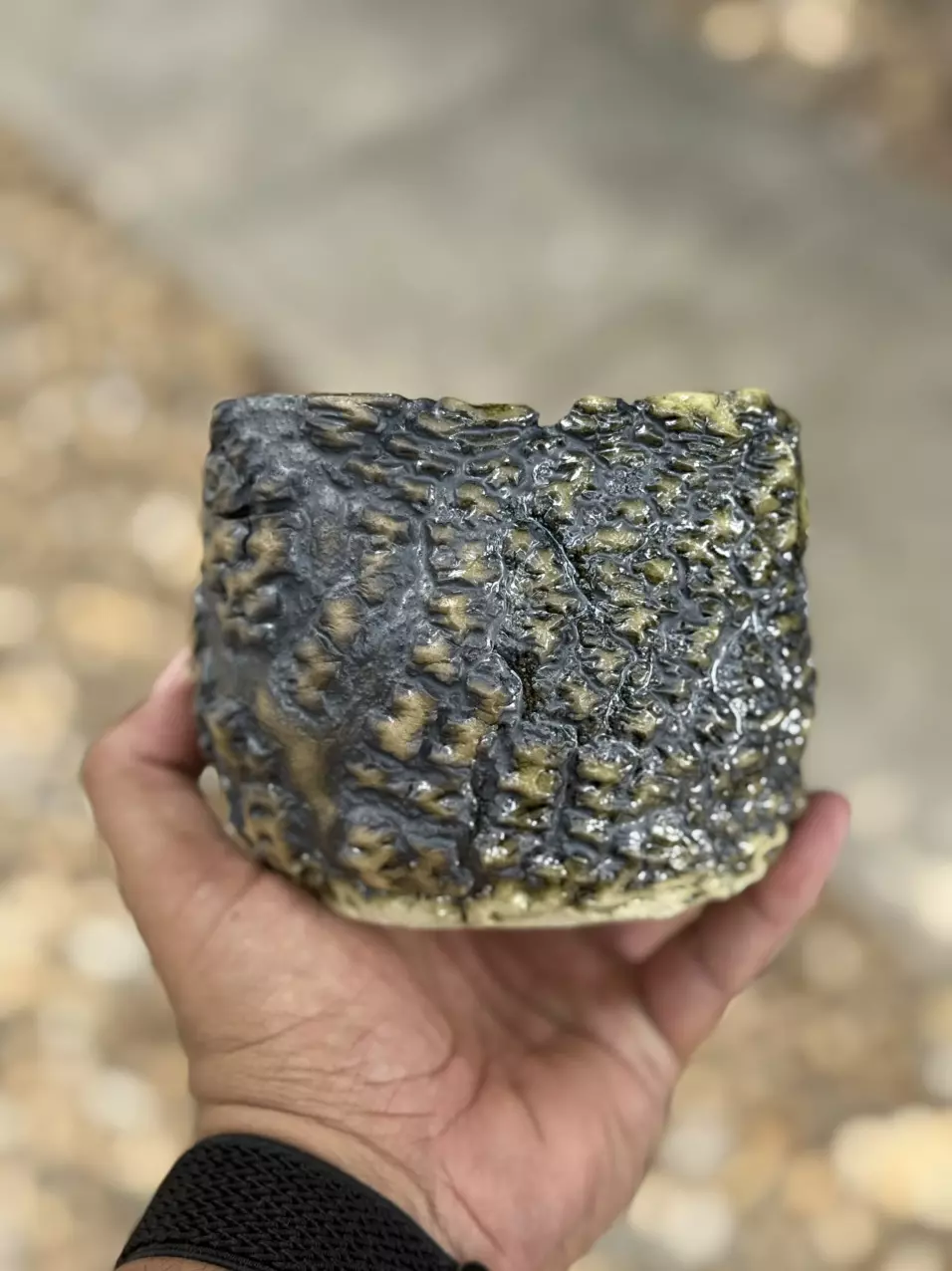 plant/Magneto square 4.5x3.5H-0