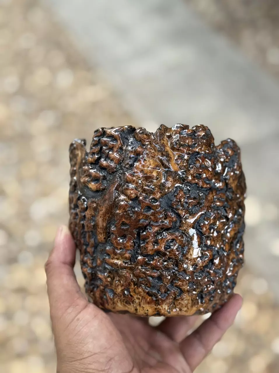 plant/Tiger 5.25x4.75H-0