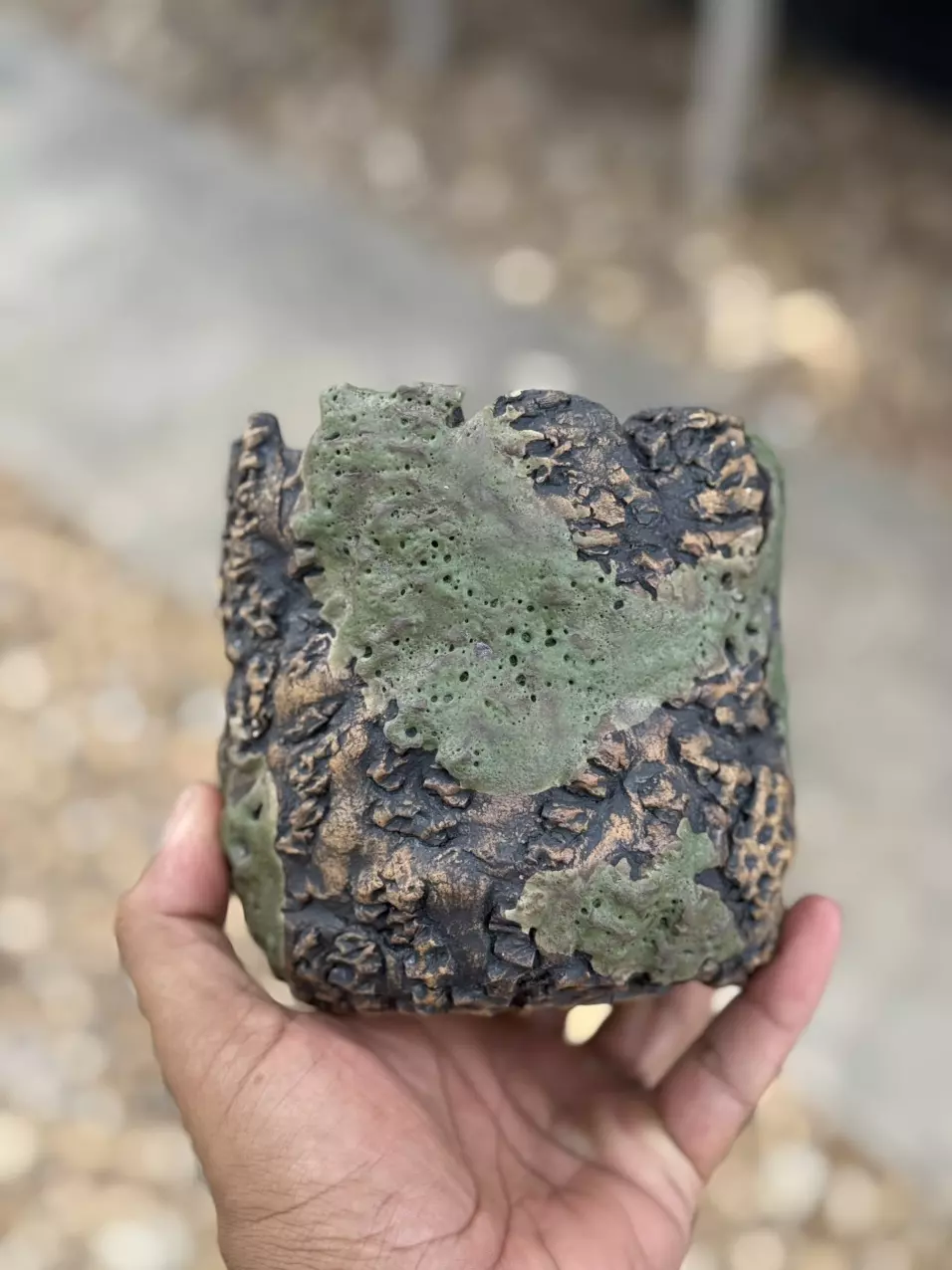 plant/Green crater 4.75x4.75-0