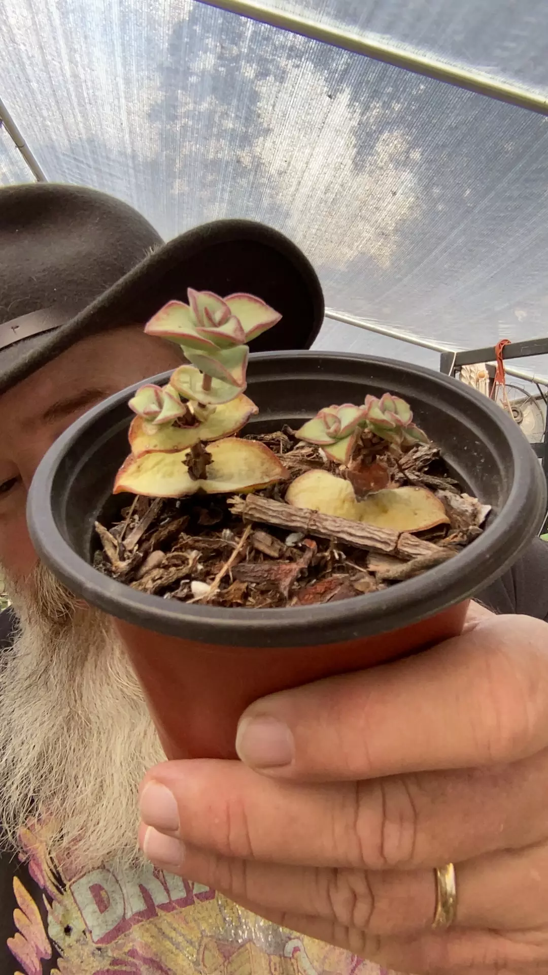 plant/Garage sale-0
