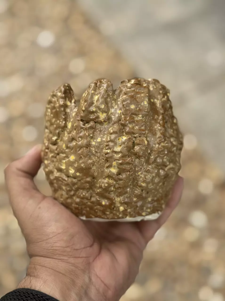 plant/Honeycomb 4x4-0